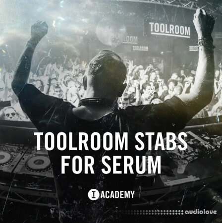 Toolroom Stabs For Serum Synth Presets